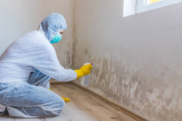 Crawl Space Mold Remediation treatment of floor joists in Chanhassen