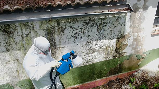 Mold Removal service in Chanhassen